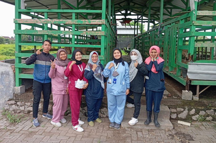 Kegiatan magang mandiri mahasiswa/dokumen istimewa