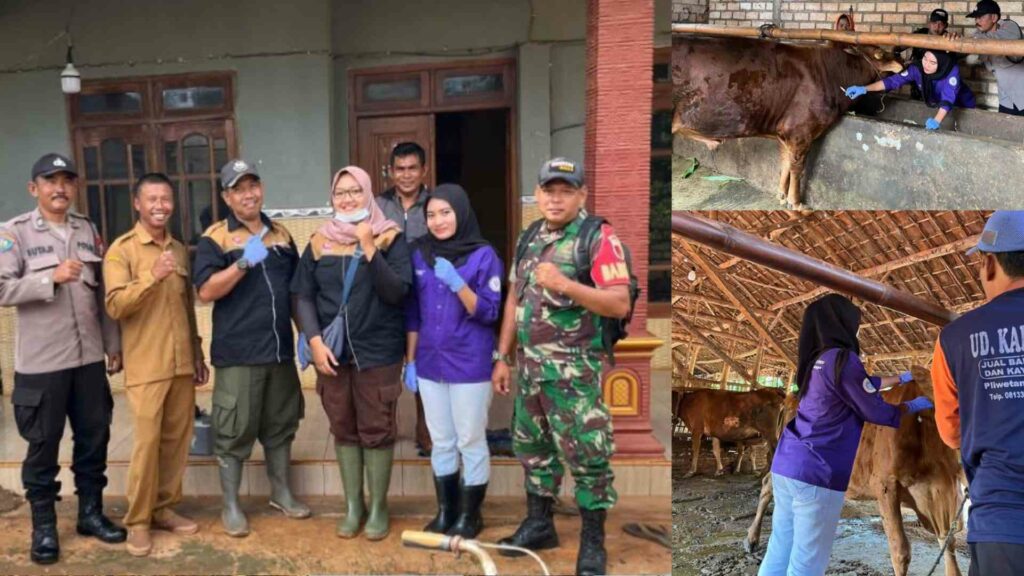 Mahasiswa Paramedik Veteriner Jalani Magang Mandiri di DKPP Kabupaten Tuban_Dokumen Istimewa