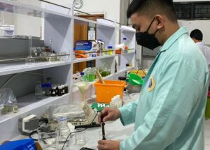 Pemanfaatan Pati Sagu (Metroxylon Sp) Sebagai bahan dasar Pembuatan Alternatif  Gel Ultrasound_Dokumen Istimewa