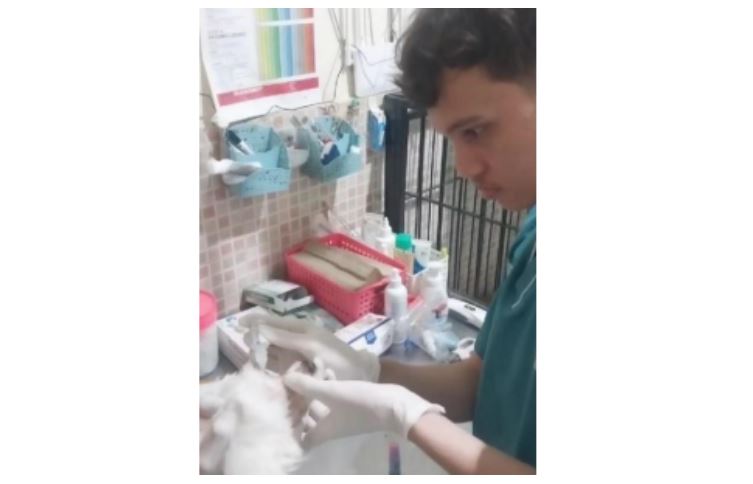 Pengobatan Konjungtivitas Pada Anjing di Sehat klinik Hewan Sidoarjo - Tobing Rikky