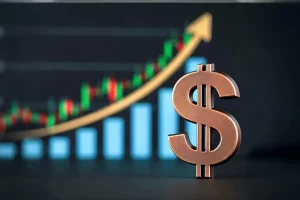 Mengurai SP2DK: Kompensasi PPN PT XYZ dan Strategi Penyelesaiannya_Google