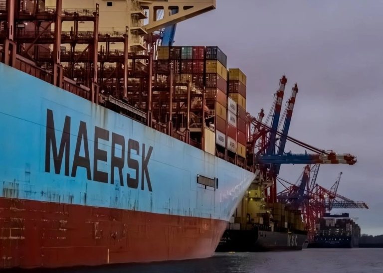 Strategi Menangani SP2DK pada Perusahaan Freight Forwarder_Dokumen Istimewa