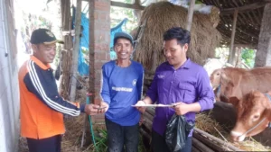 Program Vaksinasi PMK Dinas Peternakan dan Perikanan Magetan_Google