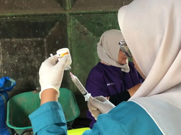 Kegiatan Magang Mandiri di Klinik Hewan Dinas Pangan dan Pertanian Kabupaten Sidoarjo_Dokumen Istimewa