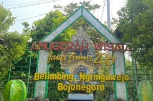 Strategi Partisipasi Masyarakat di Agrowisata Kebun Belimbing Bojonegoro_Dokumen Istimewa