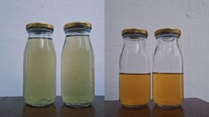 Efektivitas Infusa Simplisia Daun Pegagan dan Akar Manis dalam Menurunkan Skala Nyeri pada Dispepsia_Dokumen Istimewa