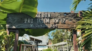Kampung Hidroponik Medokan Ayu: Inisiatif Berkelanjutan di Surabaya_Dokumen Istimewa
