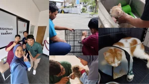 Peran Paramedik Veteriner dalam Layanan Klinik Hewan Kecil_Dokumen Istimewa