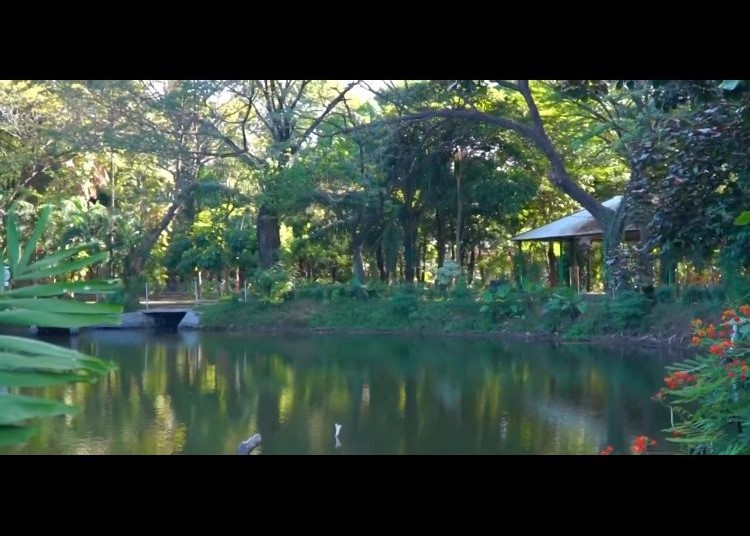Menyapa Alam Kota: Video Profil Kebun Bibit Wonorejo Surabaya Mengajak Masyarakat Lebih Peduli Ruang Hijau_Dokumen Istimewa
