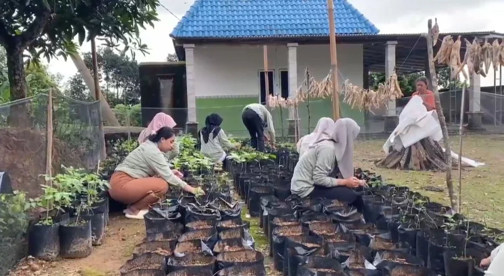 GreenBite: Tanam 500 Polybag Sayuran untuk Kemandirian Pangan Desa Durenan_Dokumen Istimewa