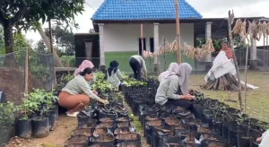 GreenBite: Tanam 500 Polybag Sayuran untuk Kemandirian Pangan Desa Durenan_Dokumen Istimewa