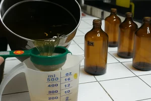 Infusa Pegagan Perbaiki Tidur Remaja_Dokumen Istimewa