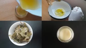 Inovasi Balm Herbal dari Daun Mimba untuk Perawatan Kulit Alami_Dokumen Istimewa