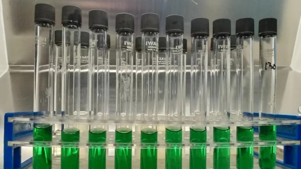 Pentingnya Penyimpanan Daging Ayam untuk Menekan Kontaminasi Bakteri Coliform_Dokumen Istimewa