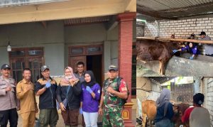 Persentase Kejadian Bovine Ephemeral Fever (BEF) pada sapi potong di Kecamatan Palang Kabupa - shafira puji