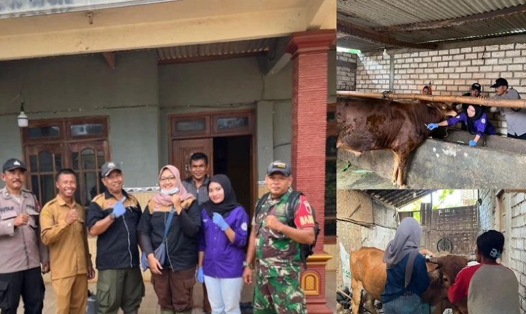 Persentase Kejadian Bovine Ephemeral Fever (BEF) pada sapi potong di Kecamatan Palang Kabupa - shafira puji
