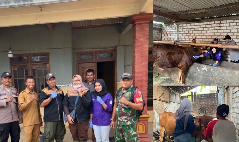 Persentase Kejadian Bovine Ephemeral Fever (BEF) pada sapi potong di Kecamatan Palang Kabupa - shafira puji