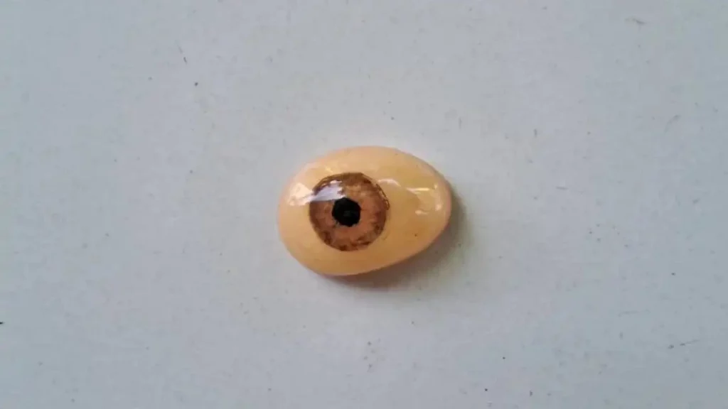 Prosedur Pembuatan Protesa Mata Ocular dengan Teknik Pewarnaan Water Color Paper_Dokumen Istimewa
