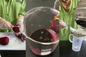 Sirup Sari Buah Bit Pemanis Stevia: Minuman Fungsional Sehat Pendamping Terapi Hipertensi_Dokumen Istimewa