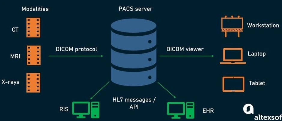 Inovasi Digital dalam Dunia Radiologi: PACS dan Tingkat Penerimaan Tenaga Medis_Dokumen Istimewa