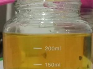 Miracle Tree: Daun Kelor Sebagai Herbal Lokal untuk Tingkatkan Hemoglobin_Dokumen Istimewa