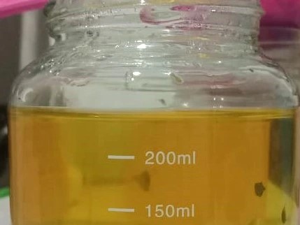 Miracle Tree: Daun Kelor Sebagai Herbal Lokal untuk Tingkatkan Hemoglobin_Dokumen Istimewa