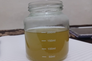 Pengaruh Seduhan Simplisia Daun Pandan Wangi (Pandanus amaryllifolius Roxb.) Untuk Mengatasi Insomnia_Dokumen Istimewa