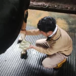 Teat Dipping Kurangi Kasus Mastitis pada Sapi Perah di Malang_Dokumen Istimewa