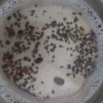 Penanganan dan Pengobatan Caplak Rhipicephalus sanguineus pada Anjing_Dokumen Istimewa