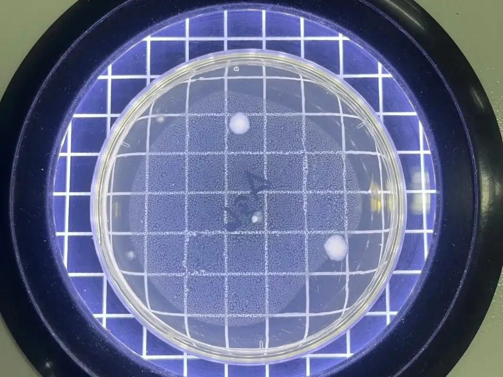 Disinfeksi Lead Apron Penting Cegah Infeksi di Radiologi_Dokumen Istimewa