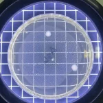 Disinfeksi Lead Apron Penting Cegah Infeksi di Radiologi_Dokumen Istimewa