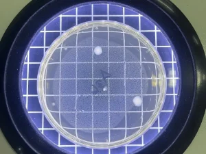 Disinfeksi Lead Apron Penting Cegah Infeksi di Radiologi_Dokumen Istimewa