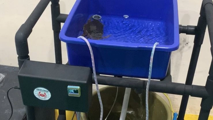 Sistem deteksi molting kepiting berbasis smart vertical crab farming menggunakan sensor dan Arduino Uno